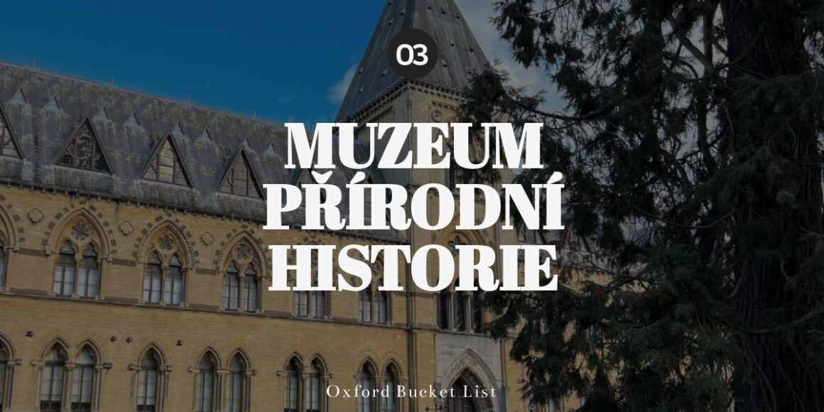 Muzeum přírodní historie Oxford - jblog.cz