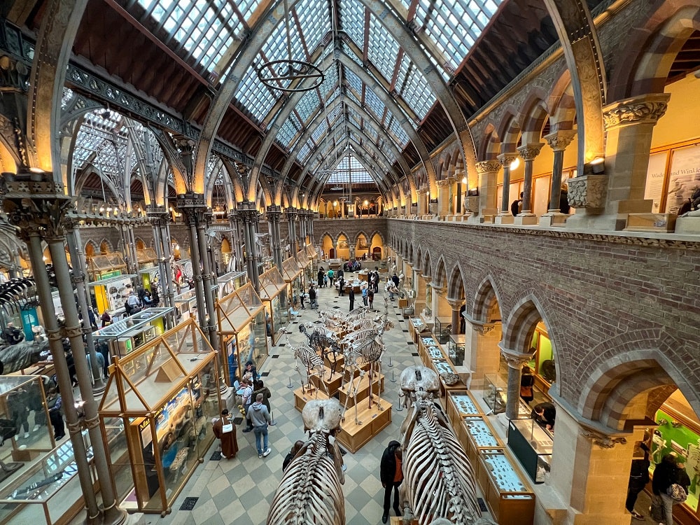 Architektura Muzeum přírodní historie v Oxfordu