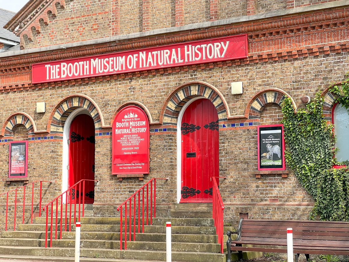 Booth muzeum Brighton